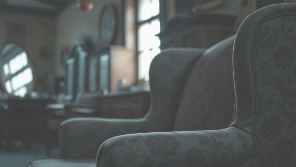 Jakie ryzyko niosą używane meble w kontekście pcheł?