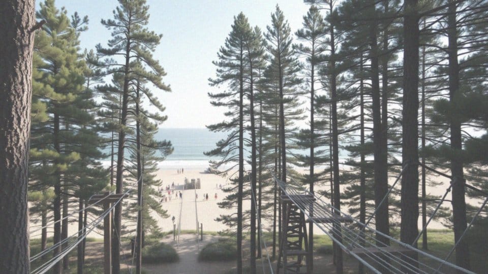 Gdzie znajduje się Park Linowy w Brzeźnie?
