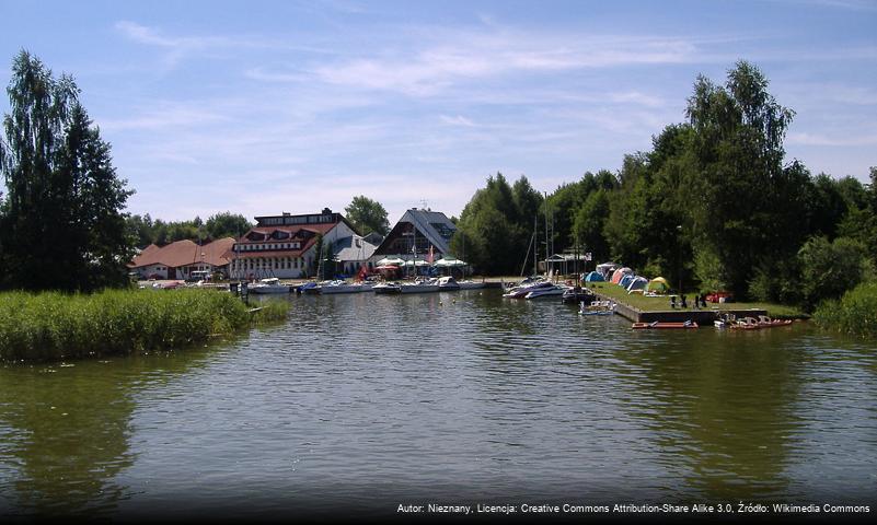 Borki (Augustów)