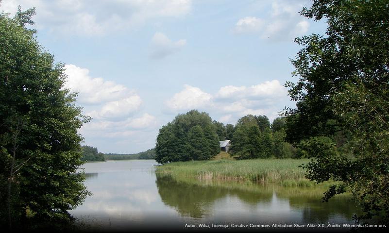 Sajenek (Augustów)